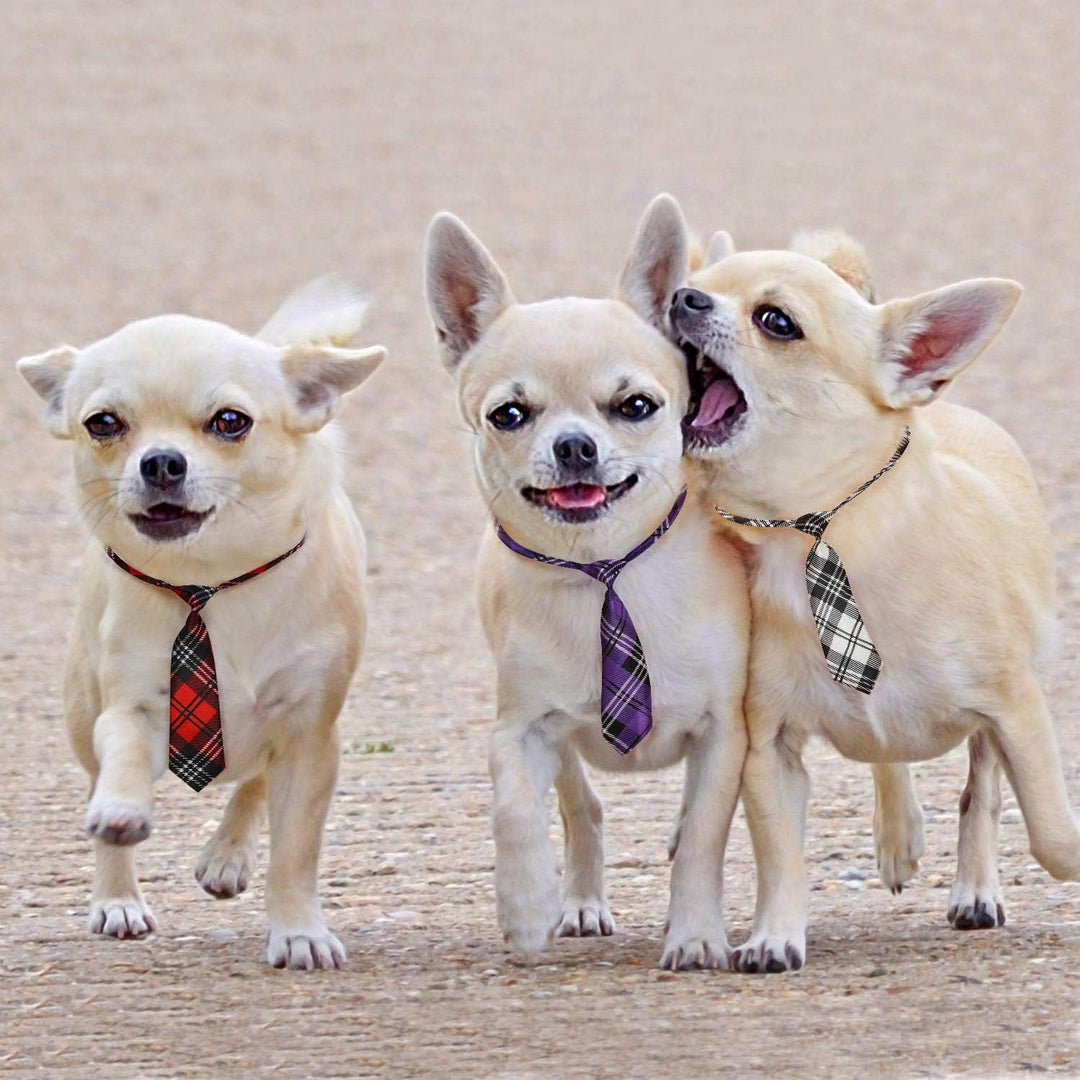 Stylish Adjustable Dog Ties for Large Dogs - Perfect Bow Ties & Neckties for Every Occasion!