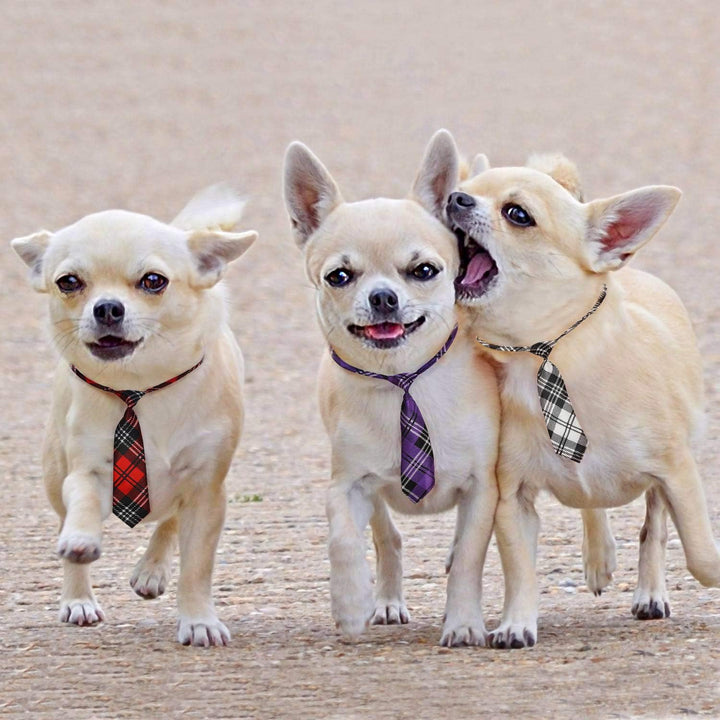 Stylish Adjustable Dog Ties for Large Dogs - Perfect Bow Ties & Neckties for Every Occasion!
