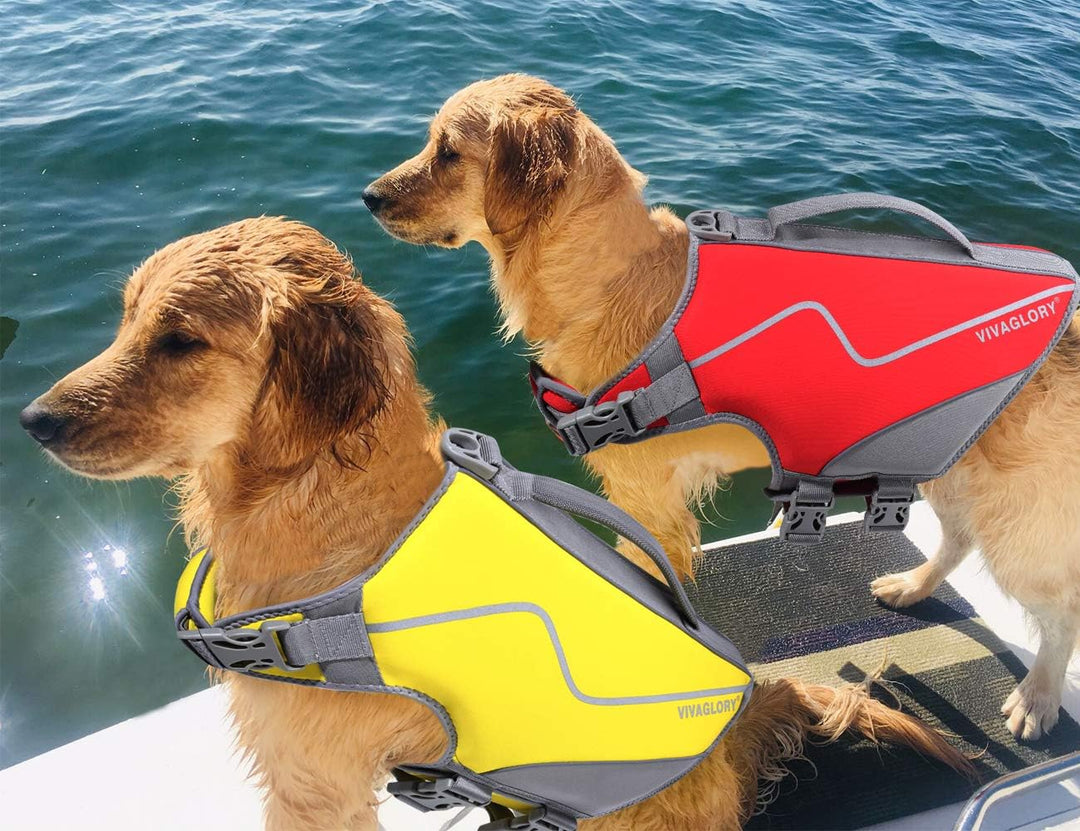 Lightweight Neoprene Dog Life Jacket - Perfect for Boating, Hunting & Swimming - Includes Leash Ring - Size M, Red