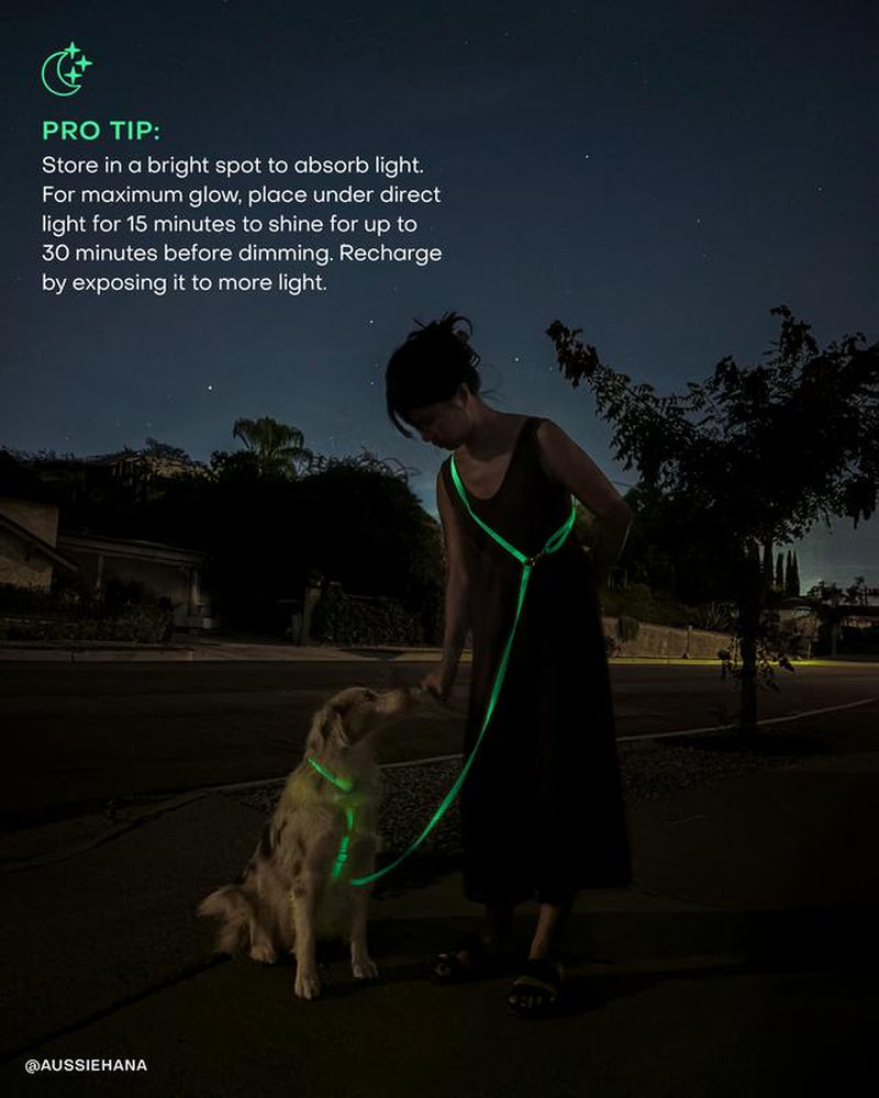 Lunar Glow 4-in-1 Hands-Free Cloud Dog Leash - 8.5 Ft Versatile Design for Ultimate Comfort and Control