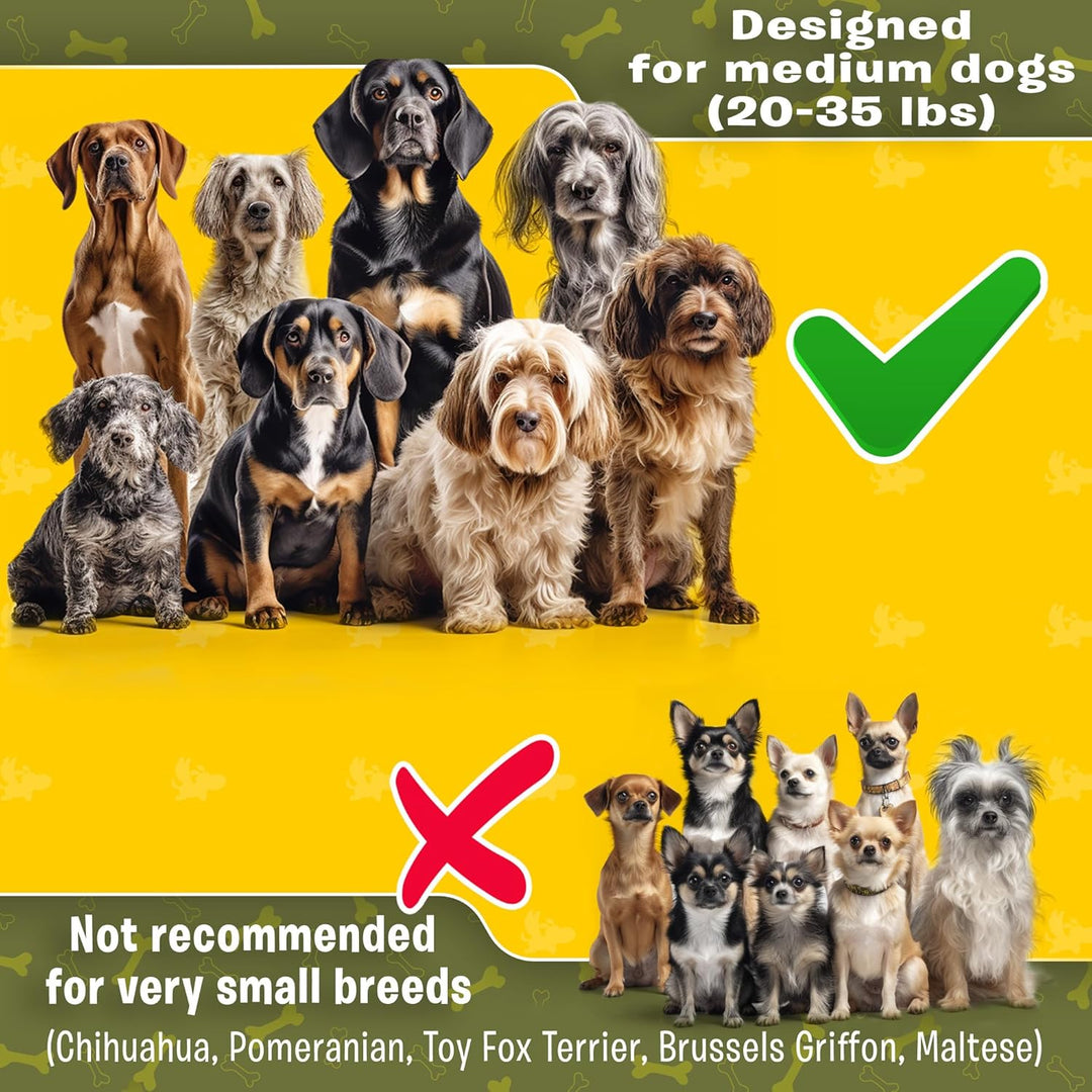 Ultimate Hands-Free Leash for Two Medium Dogs – Perfect for Active Lifestyles – Comfortable, Durable & Ideal for Running, Walking & Hiking – Premium Dual Waist Lead with Bungee – Essential Dog Gear