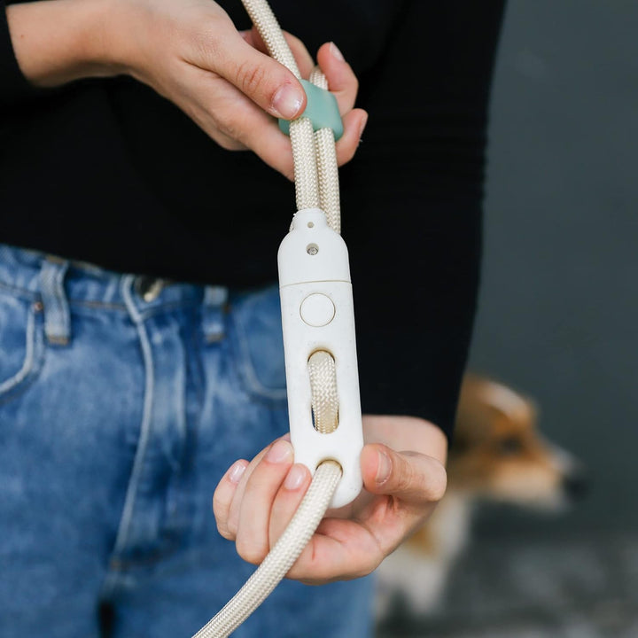 Andromeda 4-in-1 Versatile Hands-Free Dog Leash - Adjustable for Crossbody, Waist, Long Leash, or Tether - Stylish, Lightweight, and Comfortable for Daily Walks