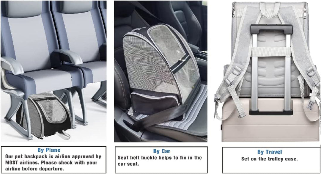 Stylish Black Bubble Backpack Pet Carrier for Cats and Dogs - Perfect for Travel!