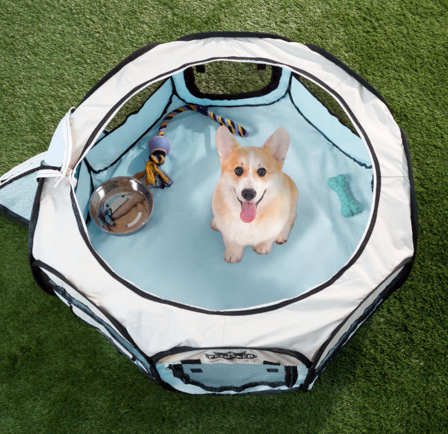 Home Essentials & Safety