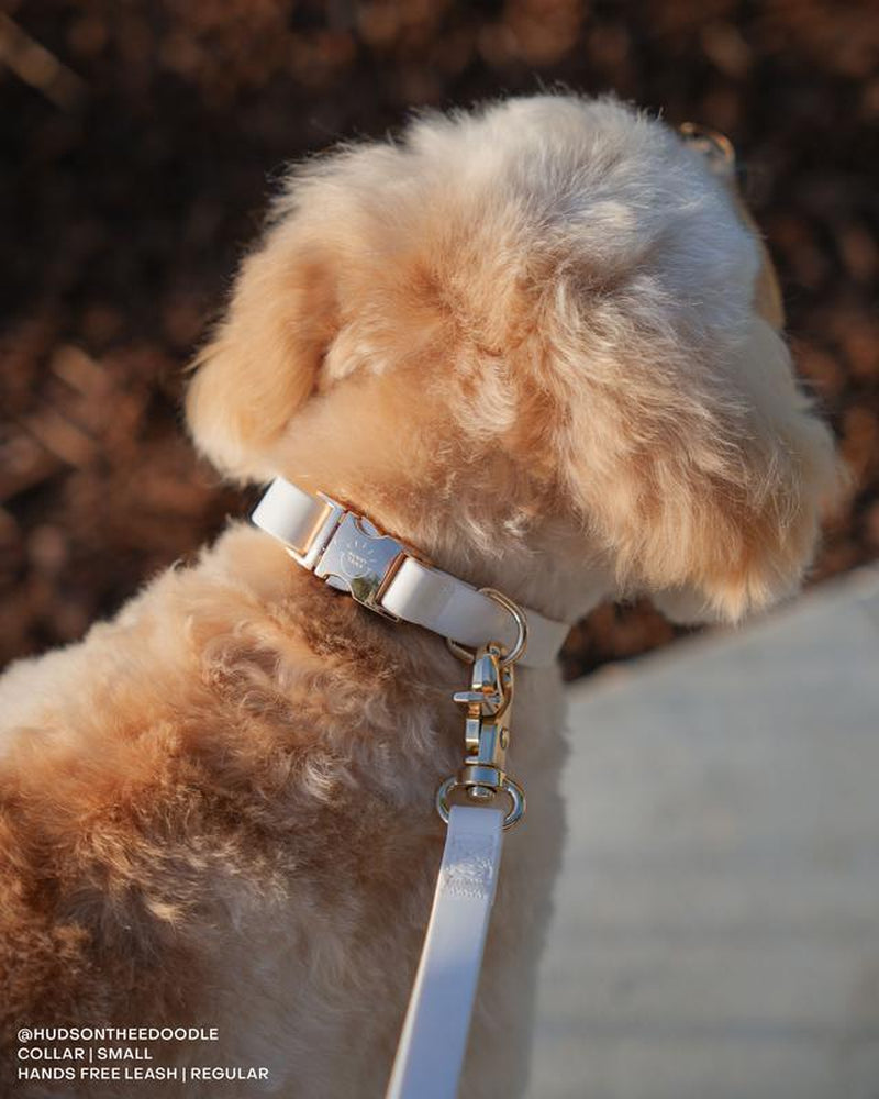 Adjustable Waterproof Dog Collar with Quick Release Buckle - Perfect for All Weather Adventures!