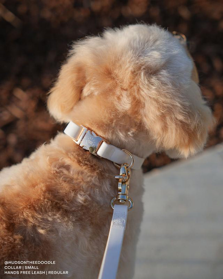 Adjustable Waterproof Dog Collar with Quick Release Buckle - Perfect for All Weather Adventures!