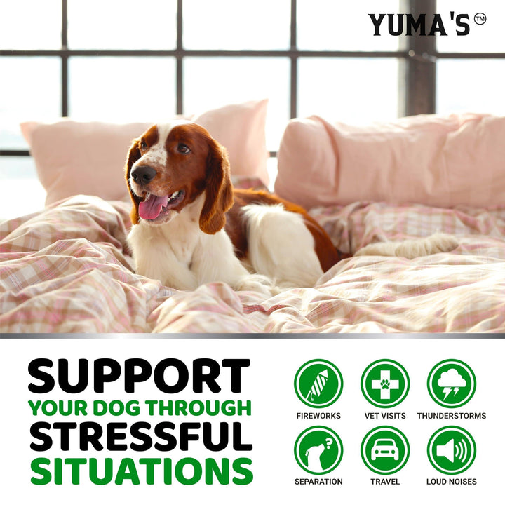Ultimate Relaxation for Your Dog: Advanced Hemp Calming Chews - 170 Delicious Chicken Flavor Treats