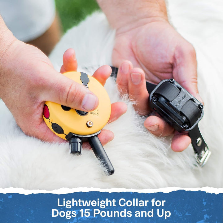 Ultimate Waterproof E-Collar Trainer - 1/2 Mile Range, 100 Levels, Vibration & Sound, Includes Petstek Clicker
