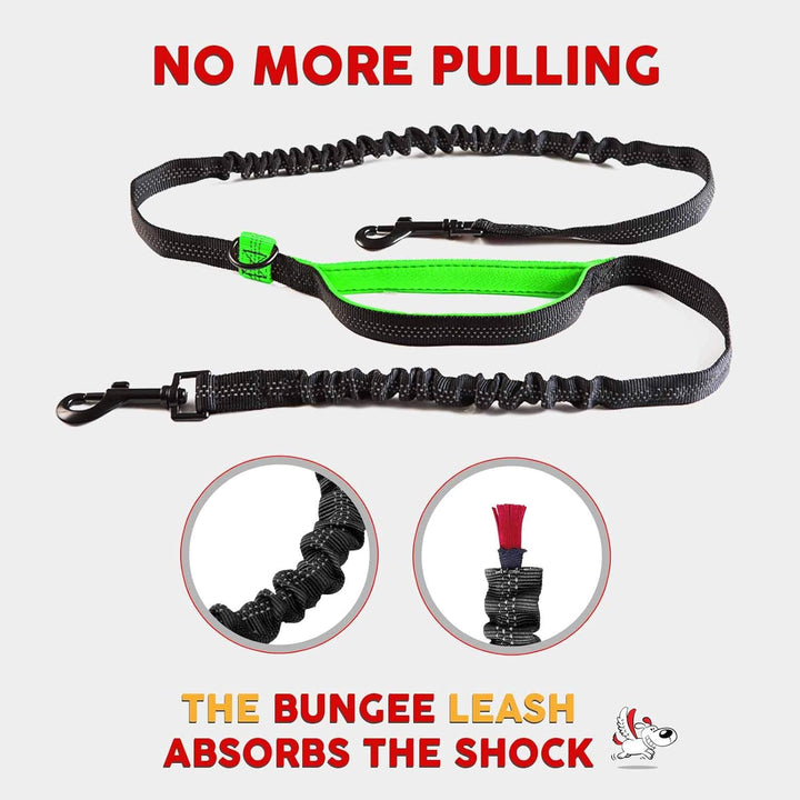 Ultimate Hands-Free Leash for Two Medium Dogs – Perfect for Active Lifestyles – Comfortable, Durable & Ideal for Running, Walking & Hiking – Premium Dual Waist Lead with Bungee – Essential Dog Gear