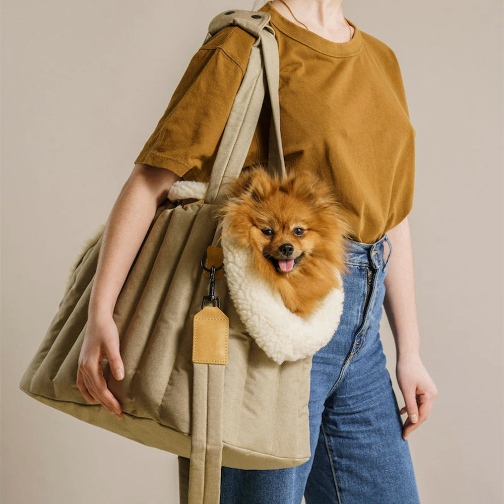 Stylish Waterproof Pet Carrier Bag - Lightweight & Portable for Dogs and Cats