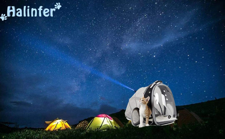 Stylish Cat Bubble Backpack with Fan - Space Capsule Pet Carrier for Cats & Small Dogs up to 12 lbs