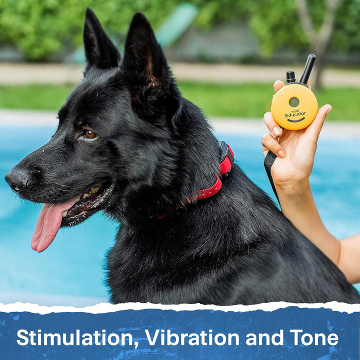 Ultimate Waterproof E-Collar Trainer - 1/2 Mile Range, 100 Levels, Vibration & Sound, Includes Petstek Clicker