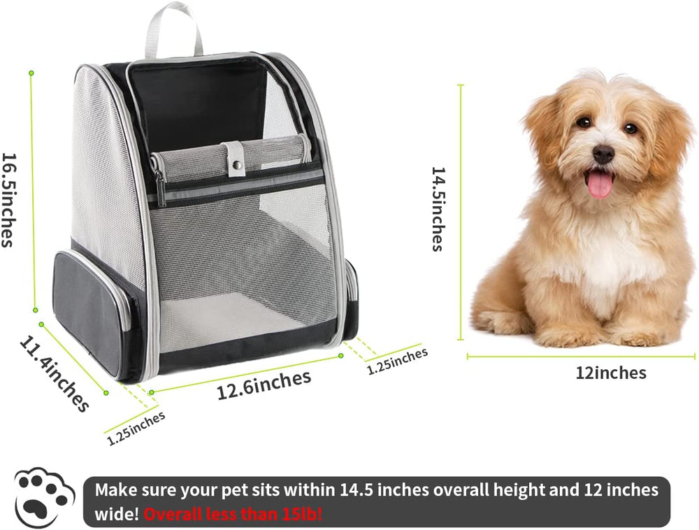 Stylish Black Bubble Backpack Pet Carrier for Cats and Dogs - Perfect for Travel!