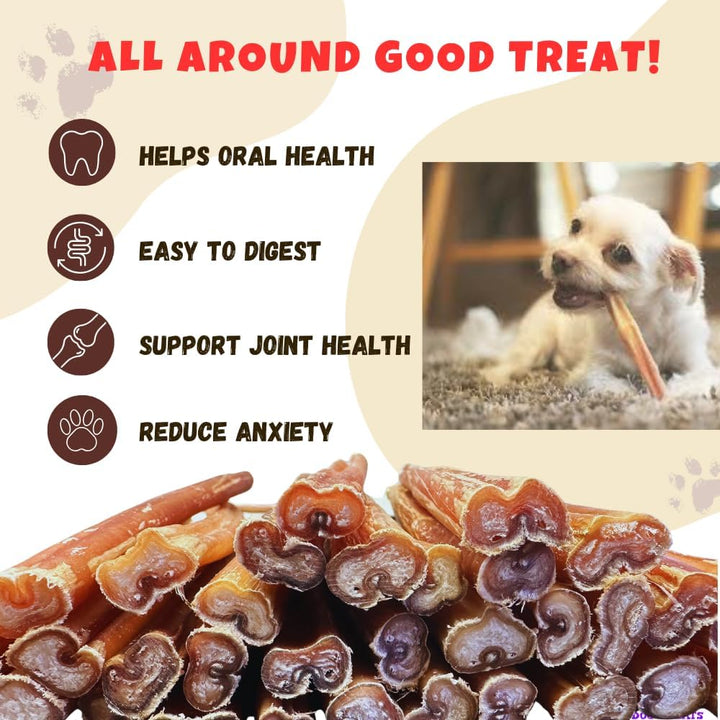 Premium 6-Inch Bully Sticks for Dogs - 25 Count Bulk Pack - All-Natural No Hide Dog Chews