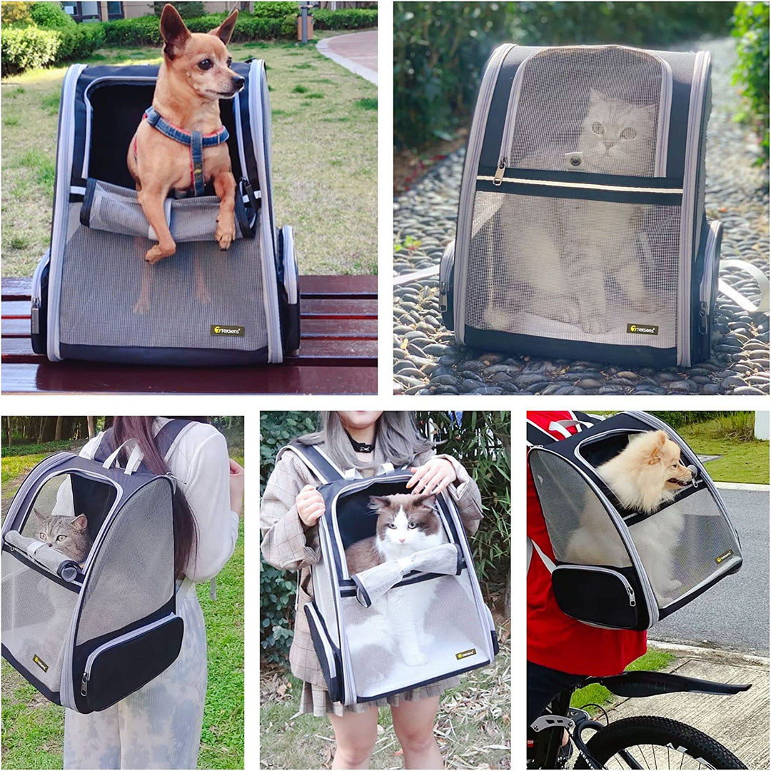 Stylish Black Bubble Backpack Pet Carrier for Cats and Dogs - Perfect for Travel!