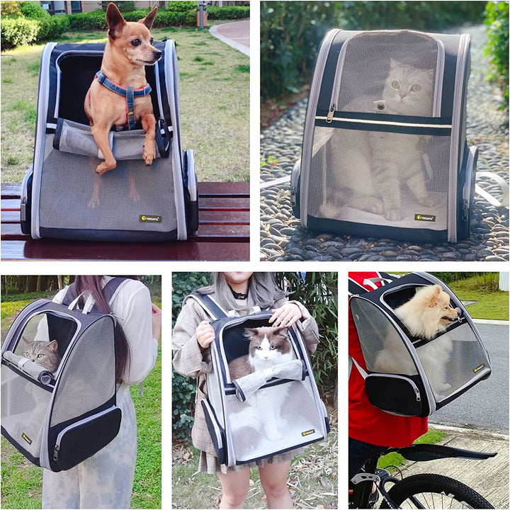 Stylish Black Bubble Backpack Pet Carrier for Cats and Dogs - Perfect for Travel!