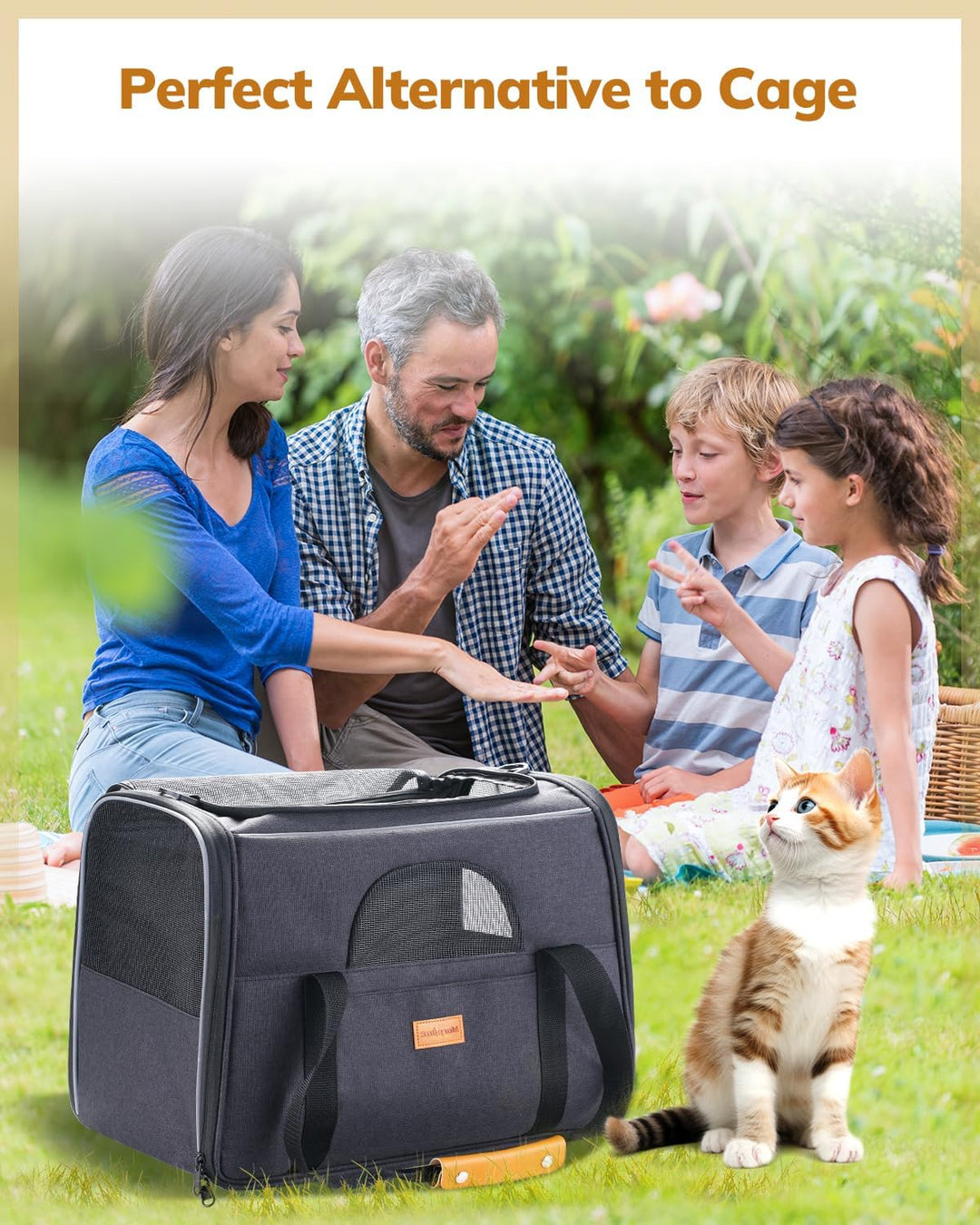 Premium Soft-Sided Cat Carrier for Large Cats & Puppies - Airline Approved, Safety Zippers, Foldable Bowl - Stylish Dark Gray