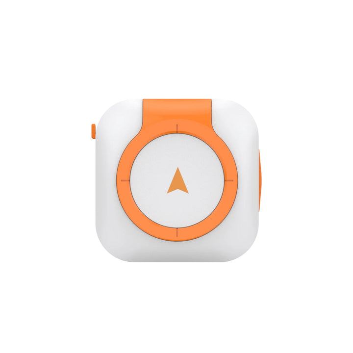 Revolutionary 4G GPS Pet Tracker with Health Monitoring - Waterproof & Universal for Dogs and Cats, Works with Any Collar, Compatible with Android & iOS