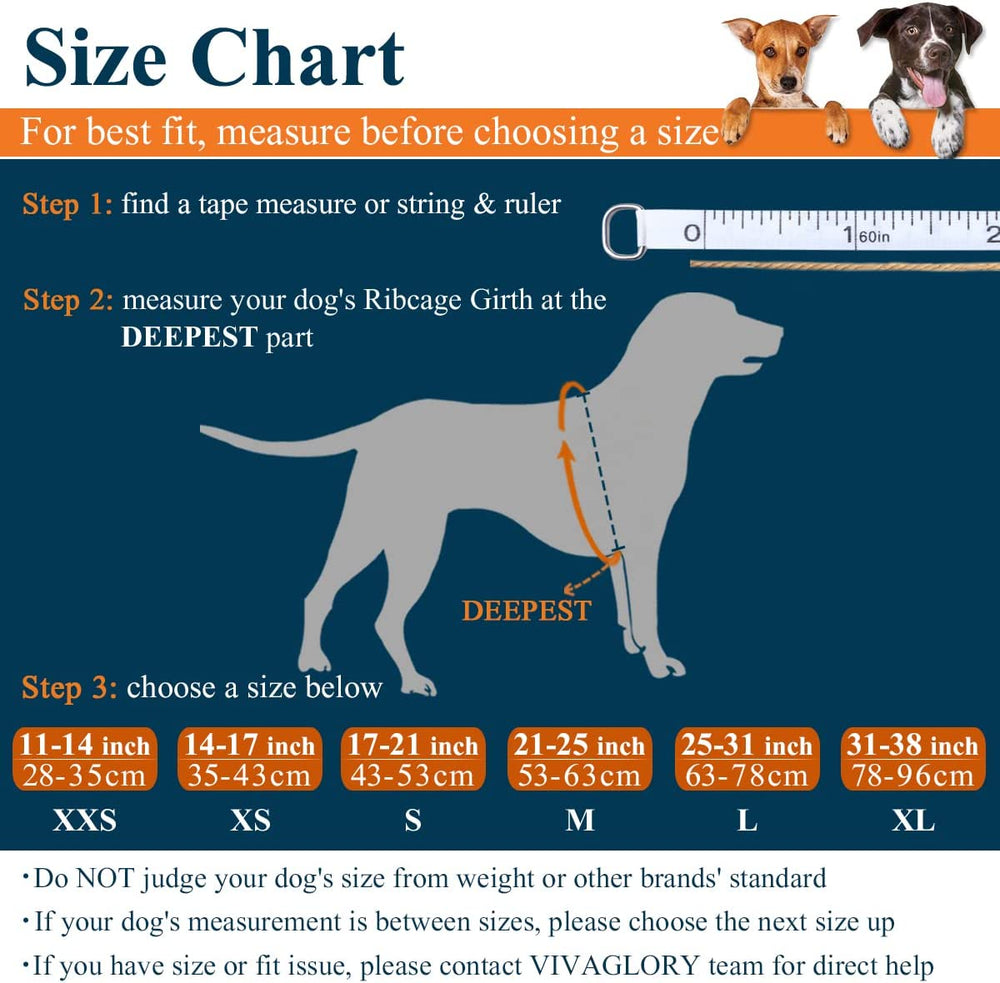 Premium Ripstop Dog Life Jacket - Ultimate Safety Vest for Small, Medium & Large Dogs - Perfect for Boating & Swimming - Enhanced Visibility & Buoyancy in Vibrant Blue