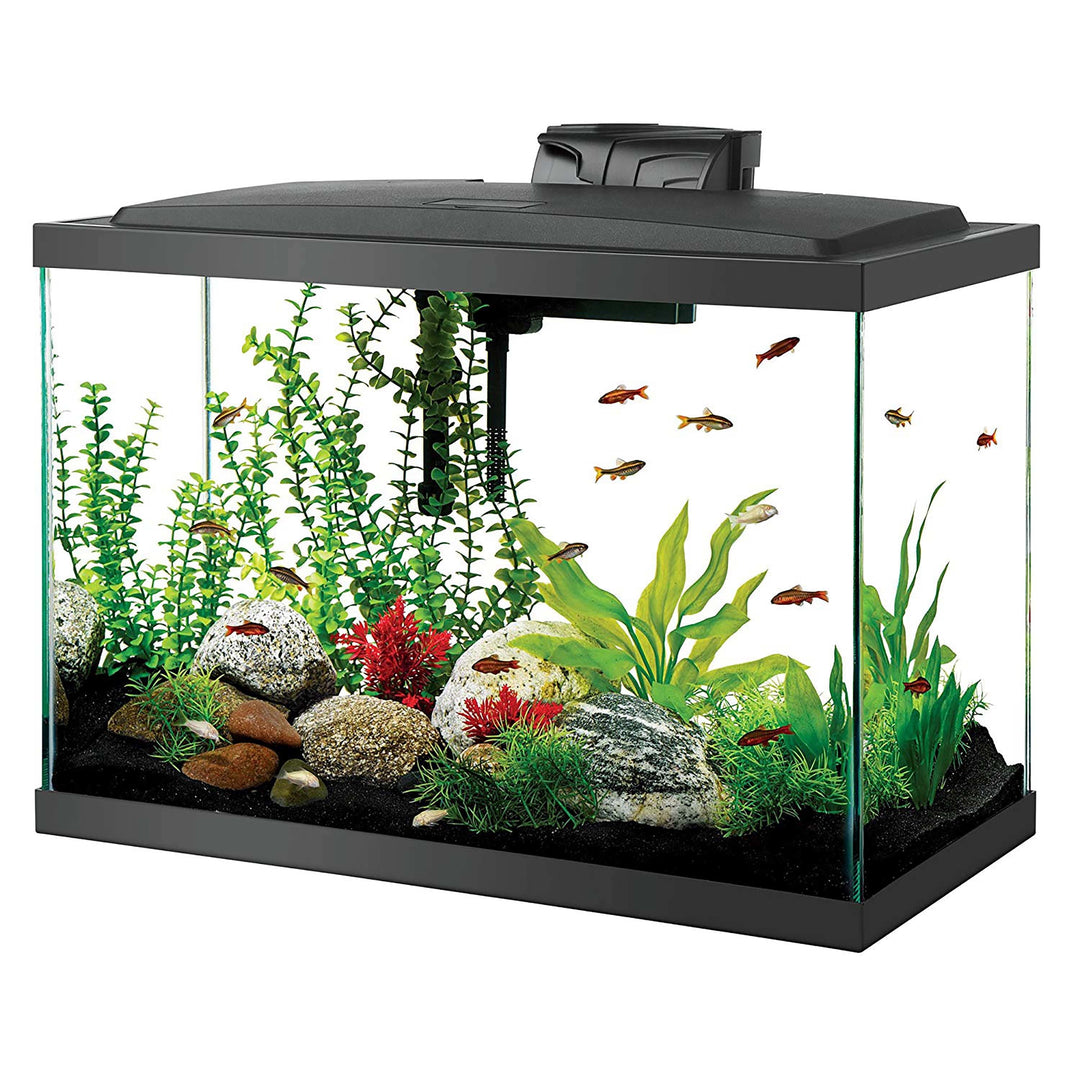 20 High Aquarium Starter Kit with Vibrant LED Lighting