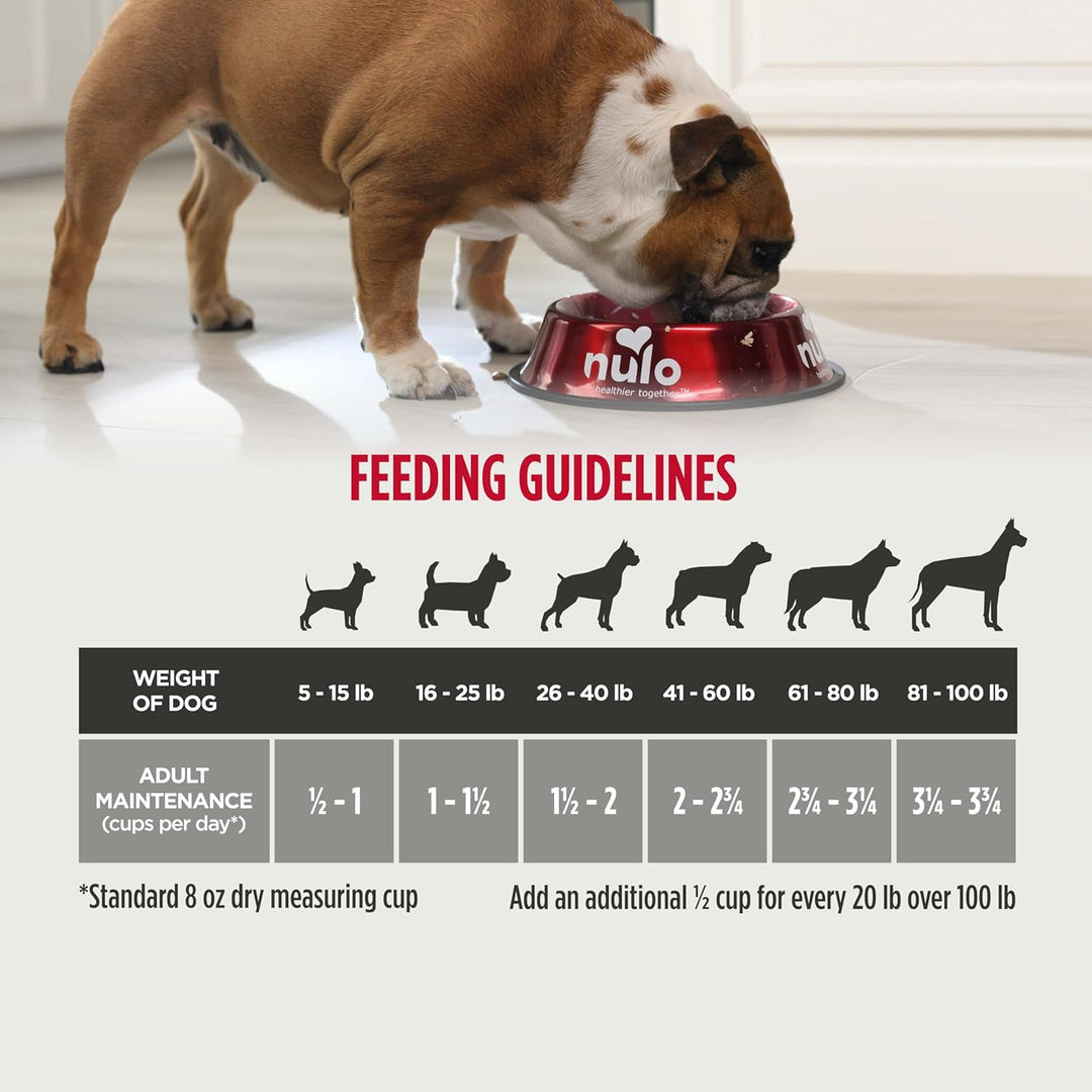 Freestyle Premium Grain-Free Adult Dog Food - All Natural Small Kibble with BC30 Probiotics for Healthy Digestion and High Animal Protein, No Chicken or Egg Alternatives