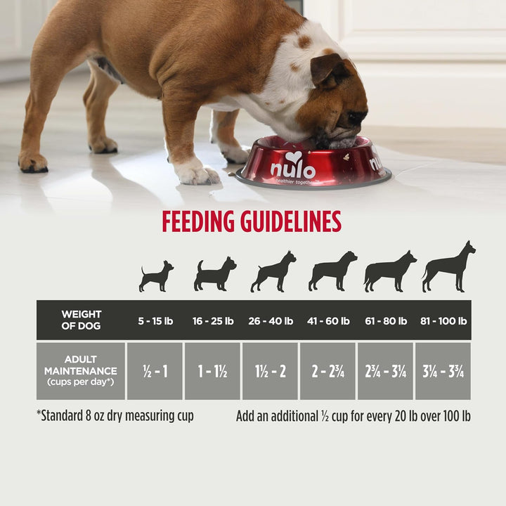 Freestyle Premium Grain-Free Adult Dog Food - All Natural Small Kibble with BC30 Probiotics for Healthy Digestion and High Animal Protein, No Chicken or Egg Alternatives