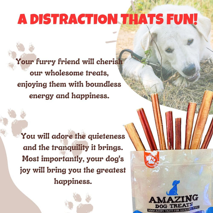 Premium 6-Inch Bully Sticks for Dogs - 25 Count Bulk Pack - All-Natural No Hide Dog Chews