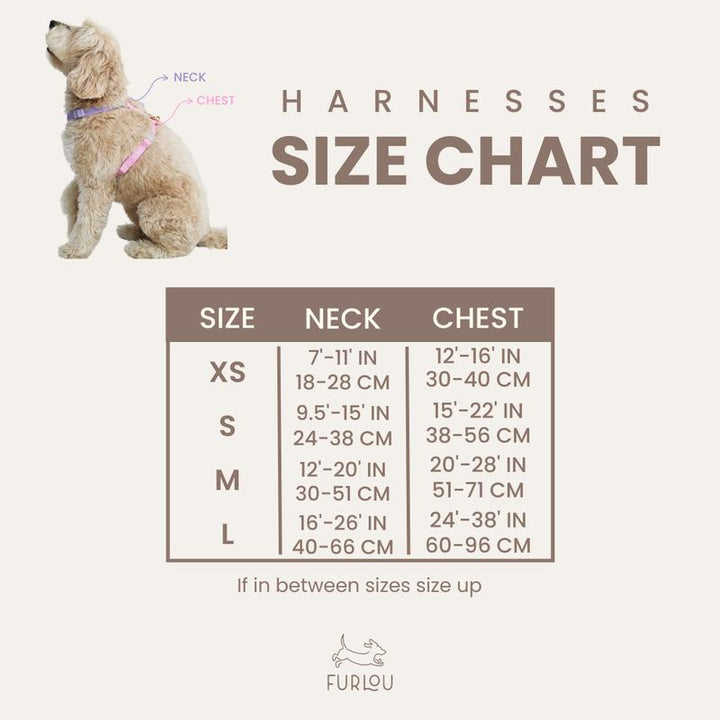 Ultimate Comfort Dog Harness - No-Pull, Adjustable & Durable Design