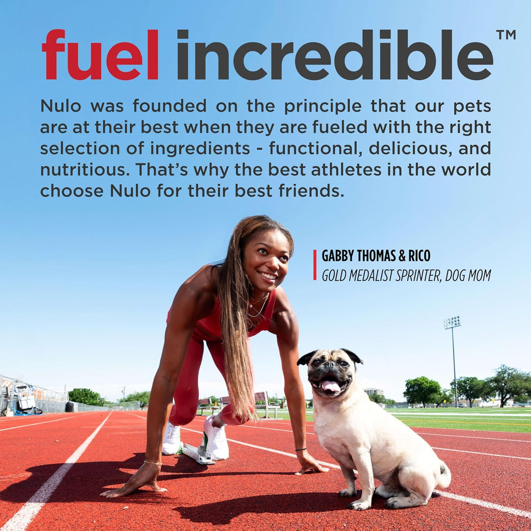 Freestyle Premium Grain-Free Adult Dog Food - All Natural Small Kibble with BC30 Probiotics for Healthy Digestion and High Animal Protein, No Chicken or Egg Alternatives