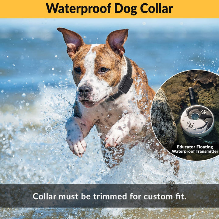 Humane E-Collar Dog Training System - Rechargeable Remote with Finger Clicker for Small to Medium Dogs, 100 Levels of Tapping Stimulation, Tone & Light, 1/2 Mile Range