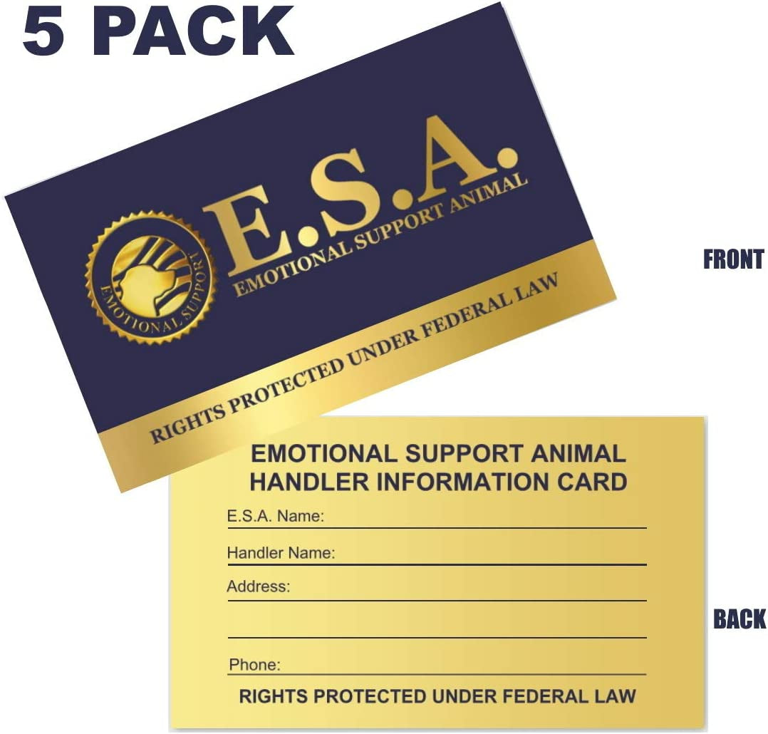 Premium ESA Dog Vest with Cooling Mesh Panel | Emotional Support Harness + 5 Federal Law Handout Cards | Size: 18"-22" Girth, Red
