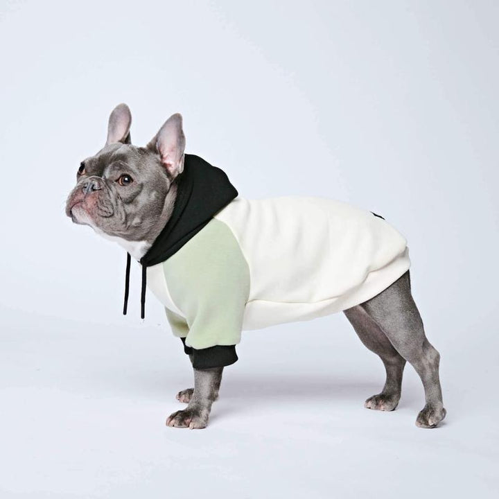 Spark Paws Premium Color Block Dog Hoodies - Ultra Soft, Cozy Fleece for All Breeds!