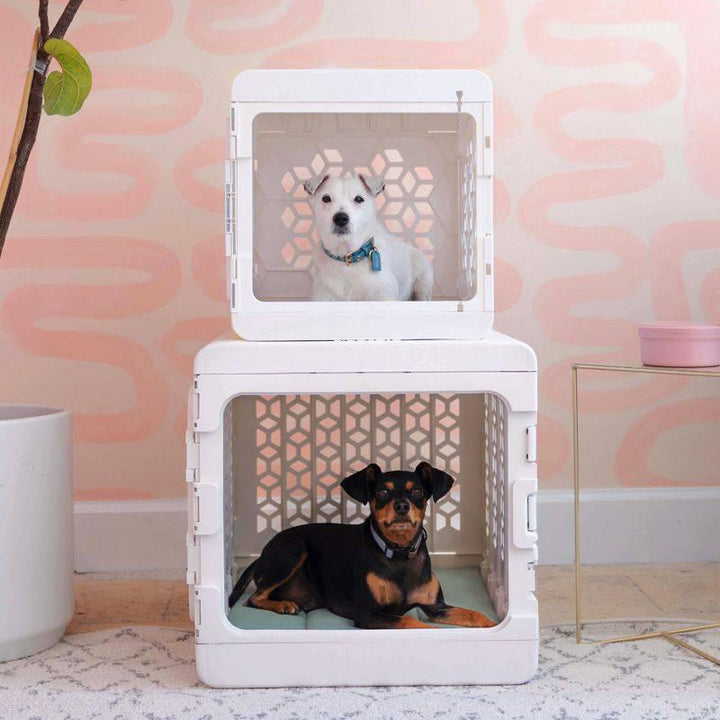 Kindtail - PAWD Modern Collapsible Dog Crate Pet Supplies