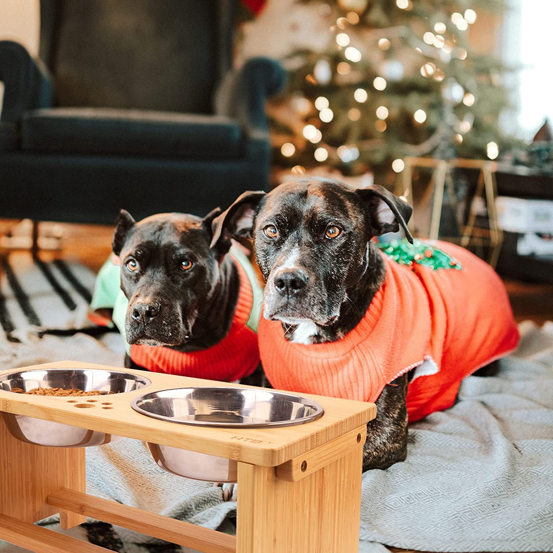 Elevated Dog Bowls with Stainless Steel - Ideal Feeding Stand for All Dog Sizes!